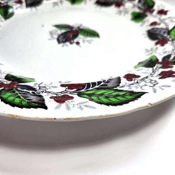 Woodbine Dinner Plates Lot of 2 10 5/8 in. Diameter J. Clementson Antiqu… - Picture 6 of 7